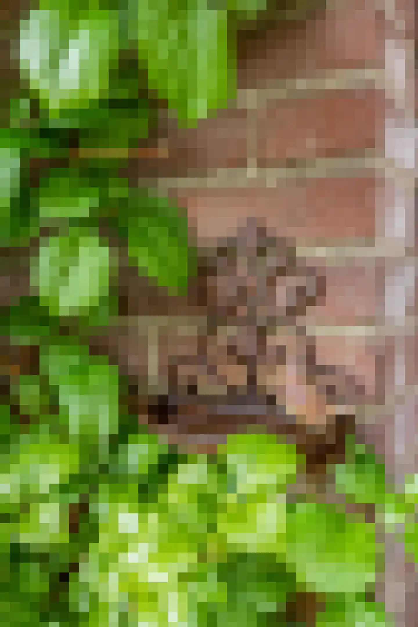 Keukenhof 4 Ede thumbnail 7