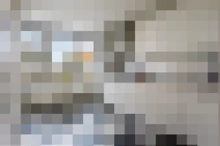 Keukenhoflaan 28 Den Haag thumbnail 15