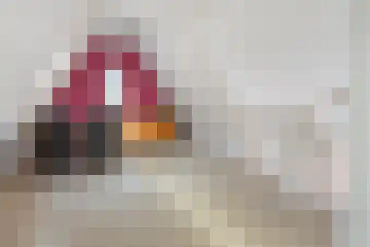 Keukenhoflaan 28 Den Haag thumbnail 32