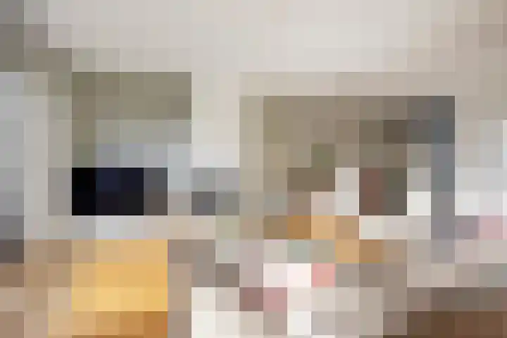 Keukenhoflaan 28 Den Haag thumbnail 8