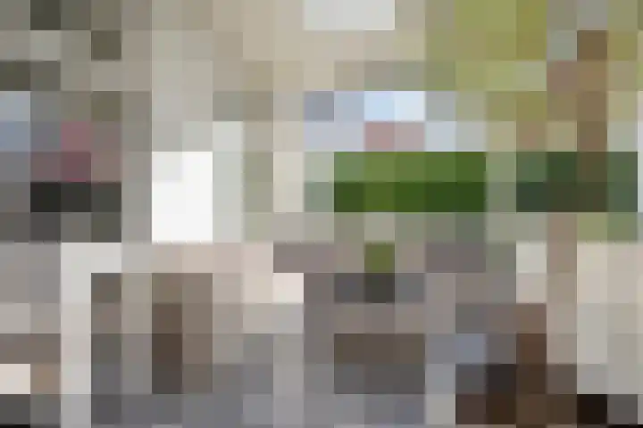 Keukenhoflaan 63 Den Haag thumbnail 11