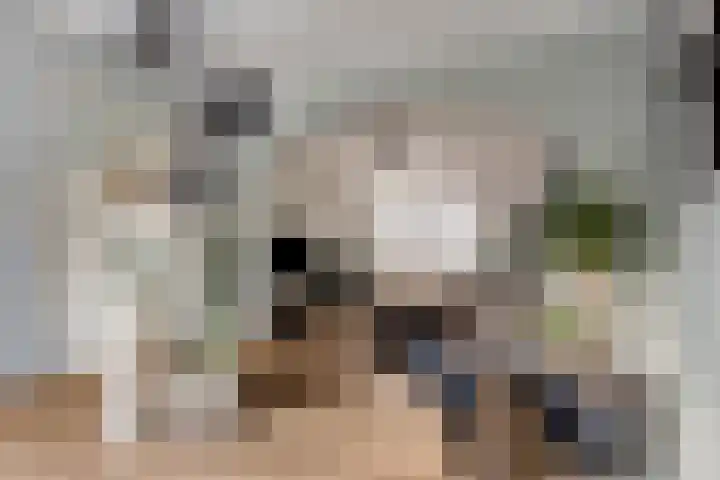 Keuleman 1 Helden thumbnail 11