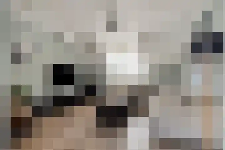 Keuleman 1 Helden thumbnail 12