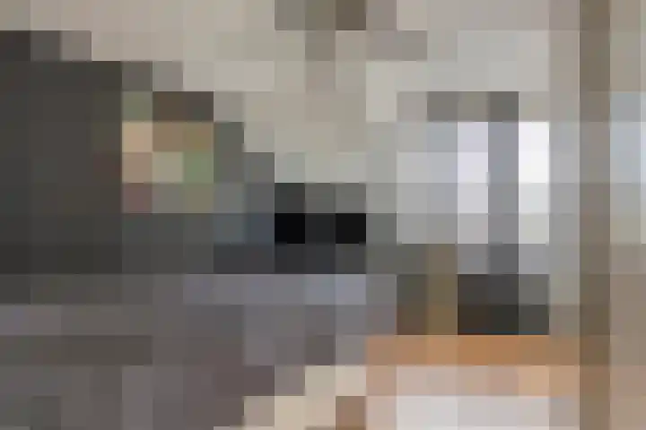 Keuleman 1 Helden thumbnail 16