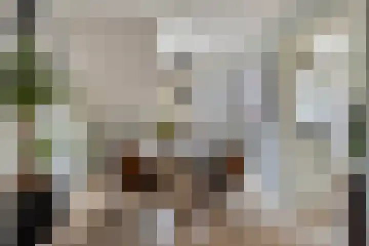 Keuleman 1 Helden foto 3