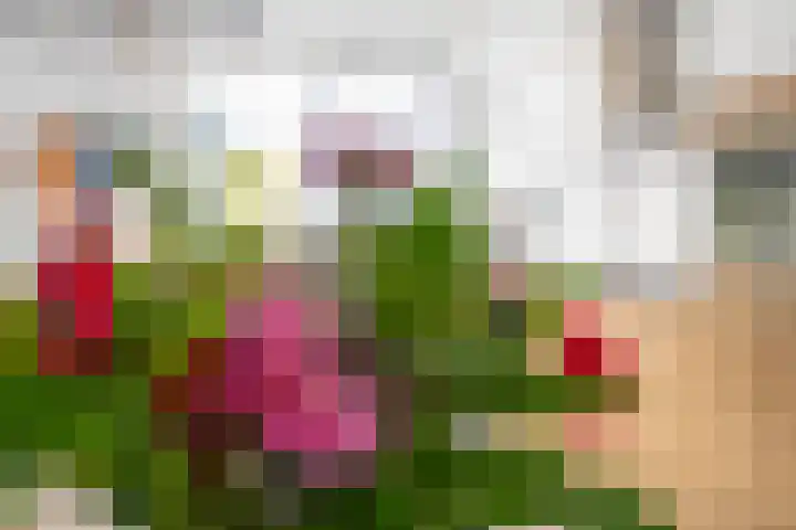Keulenheide 5 Landgraaf thumbnail 8