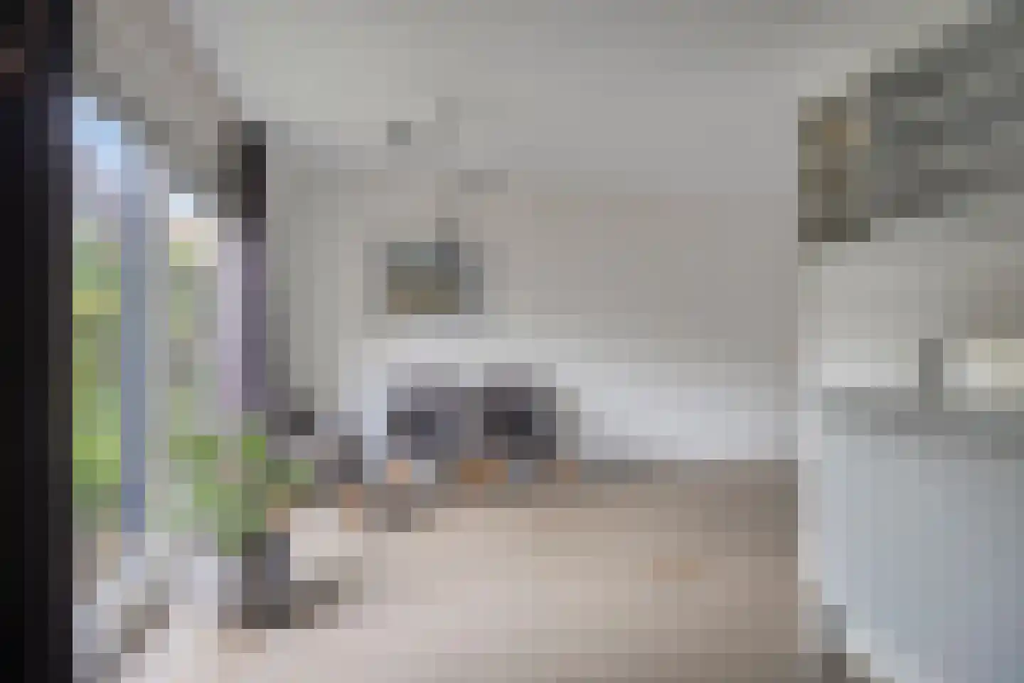 Keulenstraat 15 Zwolle thumbnail 11