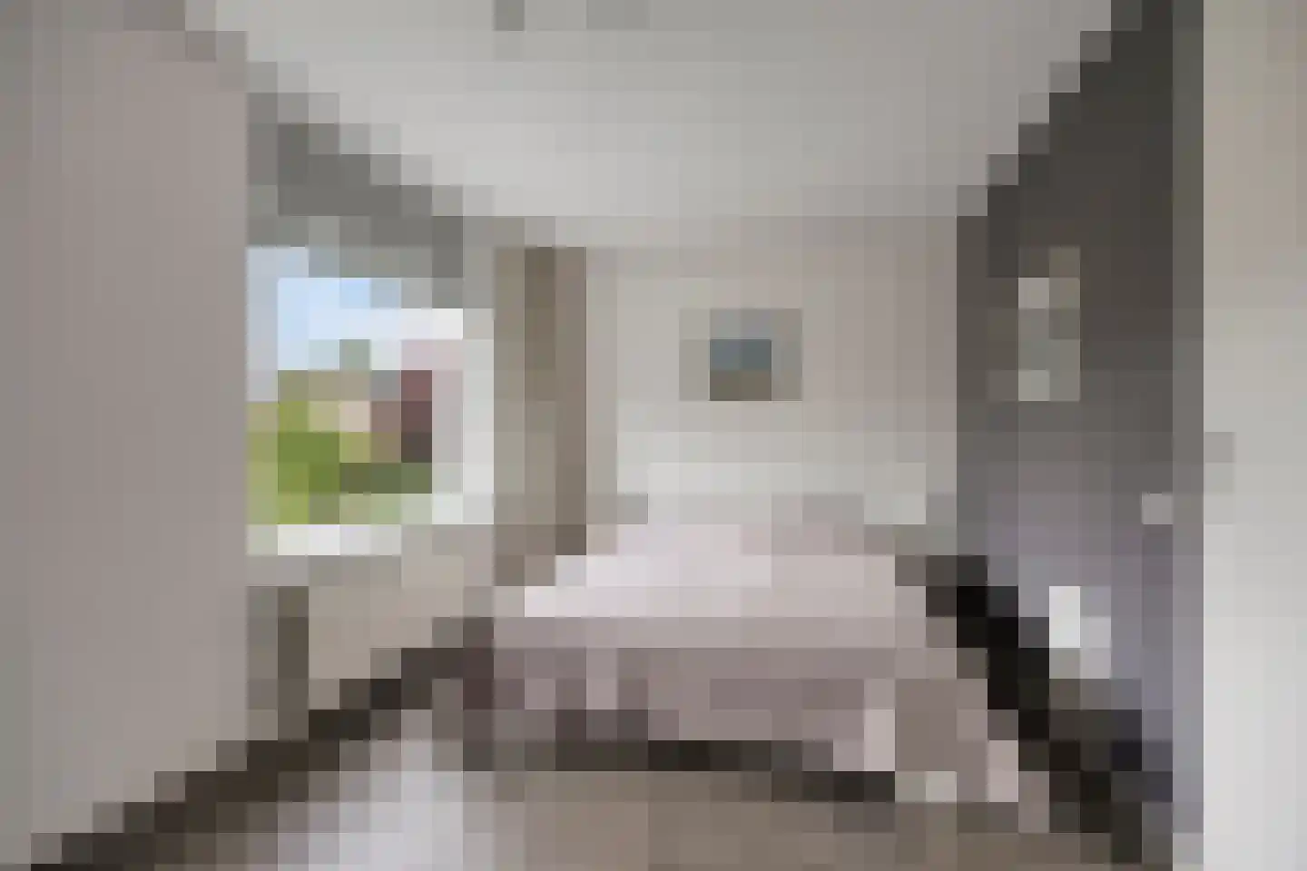 Keulenstraat 15 Zwolle thumbnail 18