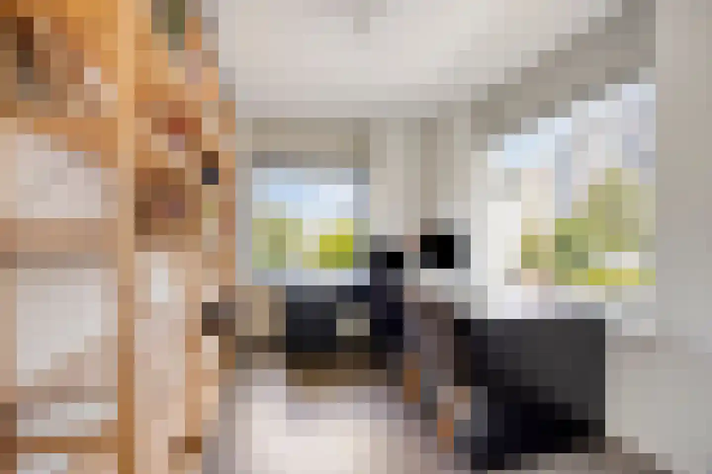 Keulenstraat 15 Zwolle thumbnail 23