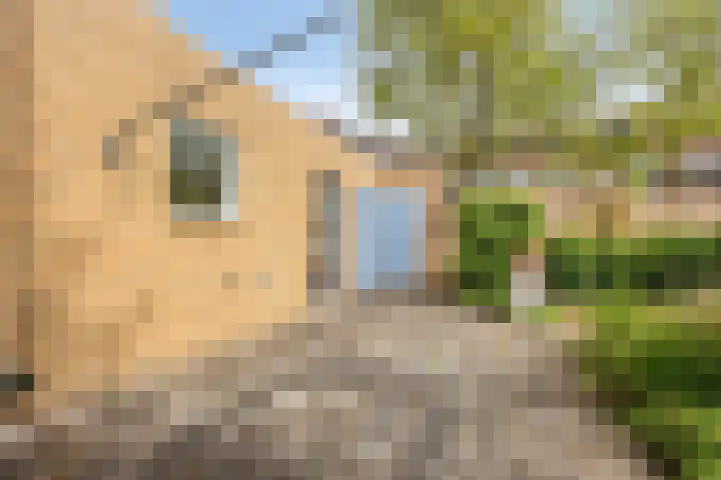 Keulenstraat 15 Zwolle thumbnail 32