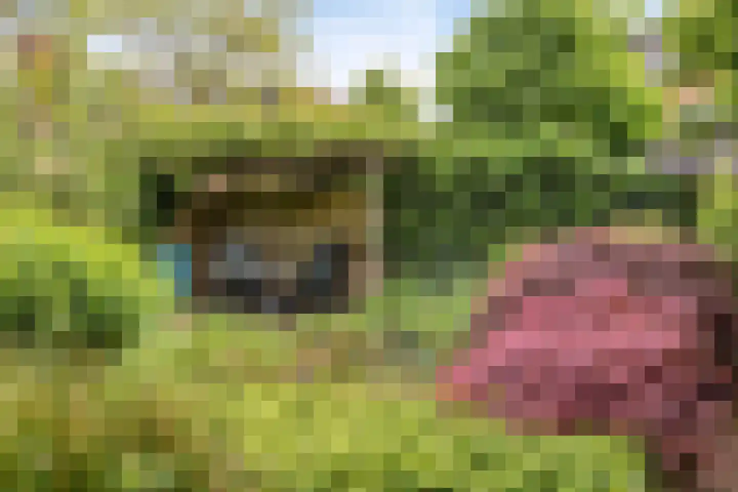 Keulenstraat 15 Zwolle thumbnail 33
