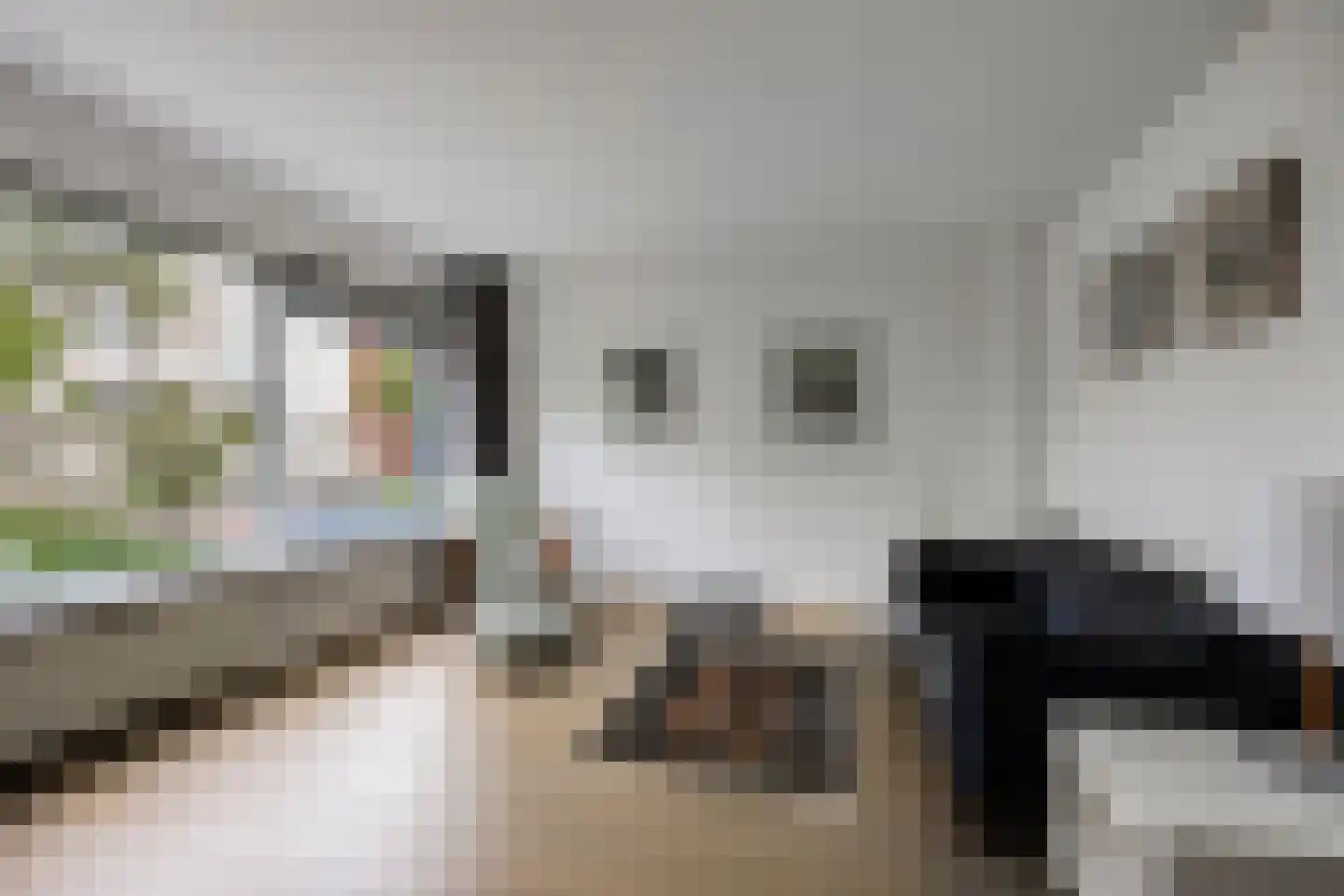Keulenstraat 15 Zwolle thumbnail 6