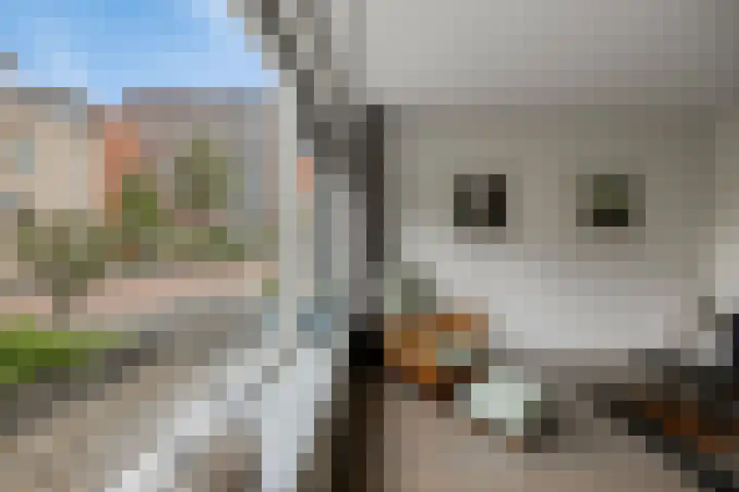 Keulenstraat 15 Zwolle thumbnail 8