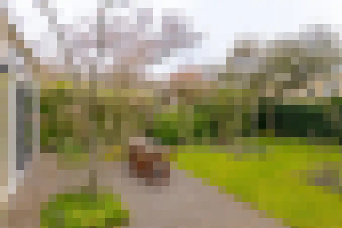 Keulenstraat 21 Zwolle thumbnail 41