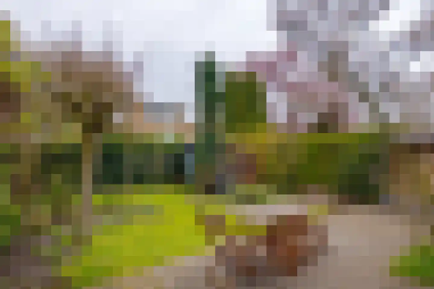 Keulenstraat 21 Zwolle thumbnail 43