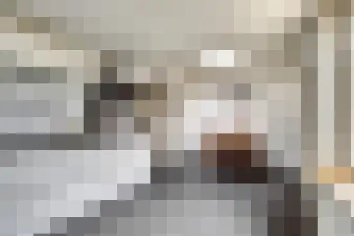 Keulerstraat 12 Bergen L thumbnail 13