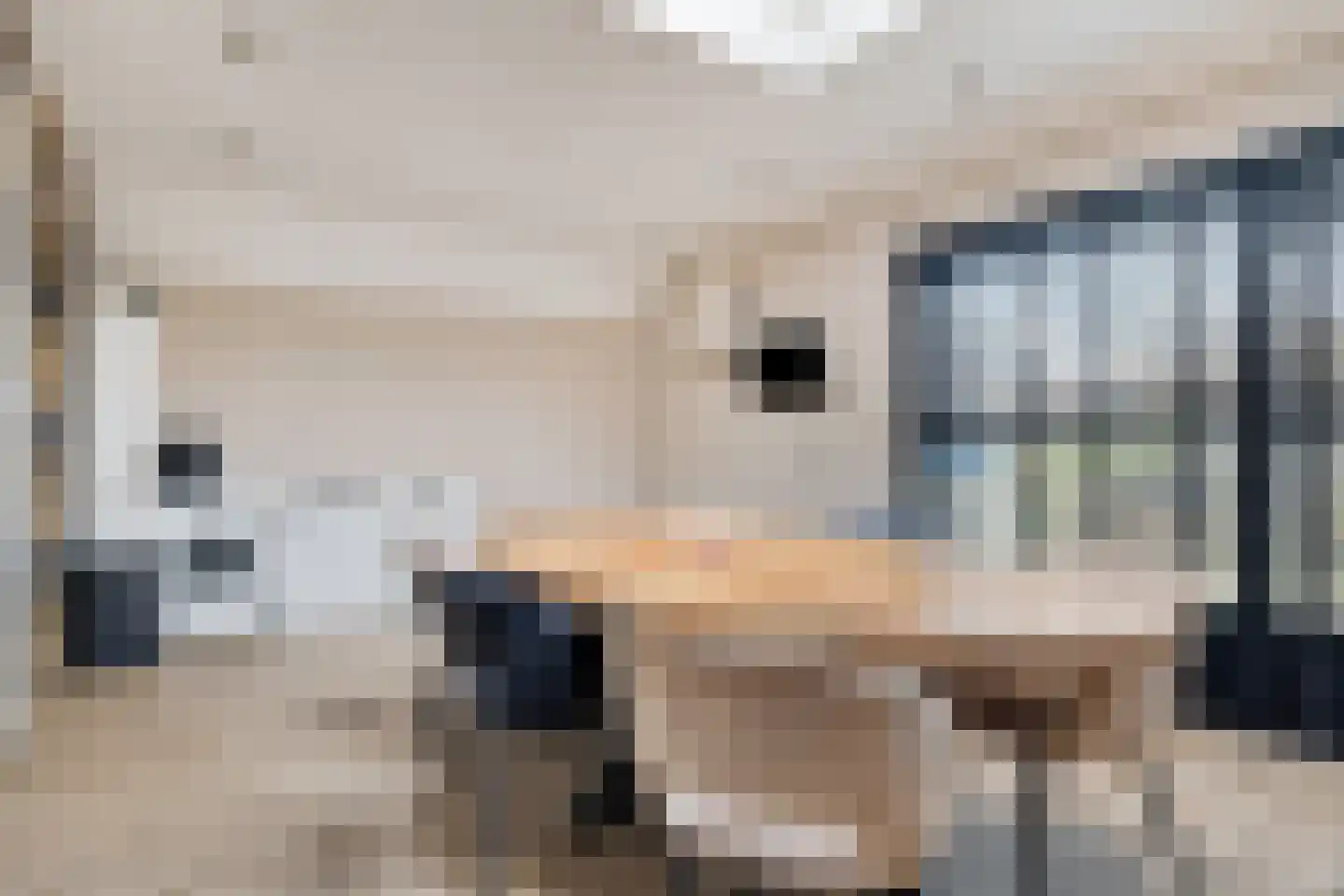 Keulerstraat 15 Bergen L thumbnail 16