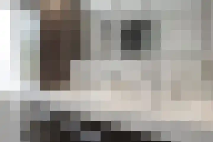 Keulerstraat 17 Bergen L thumbnail 31