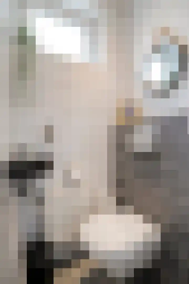 Keulerstraat 17 Bergen L thumbnail 9