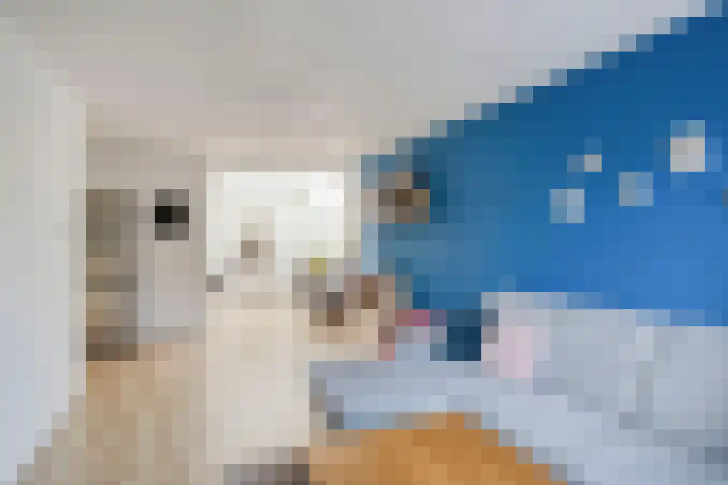 Keulerstraat 18 Bergen L thumbnail 6