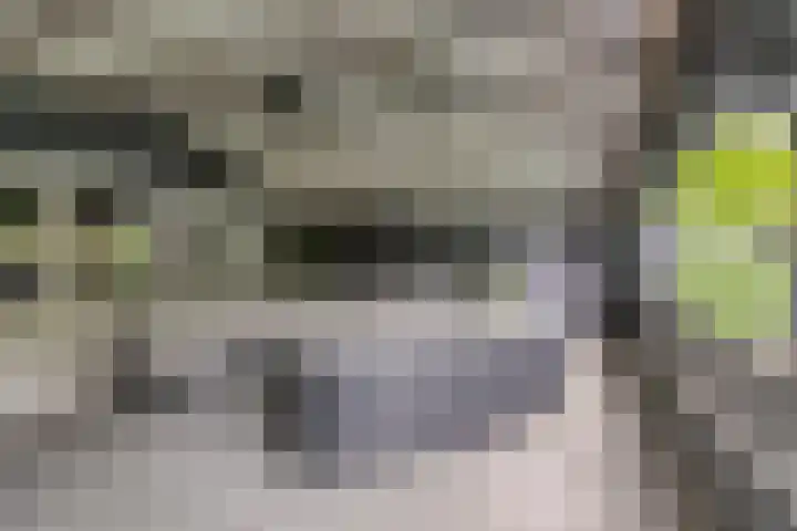 Keulerstraat 60 Bergen L thumbnail 54