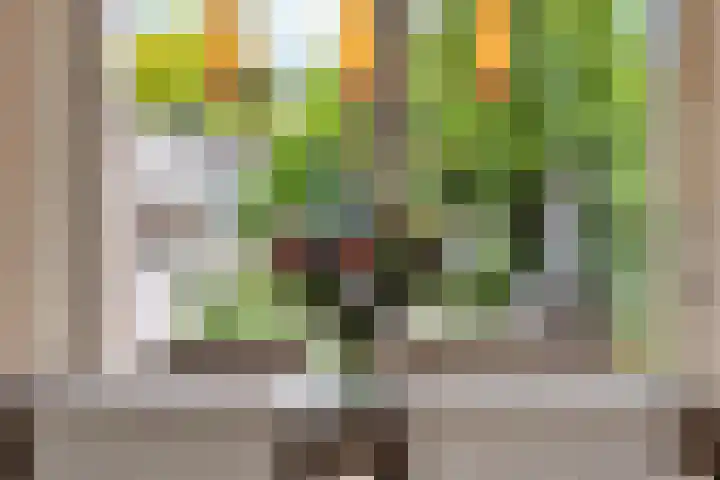 Keulse Slag 42 Arnhem thumbnail 11