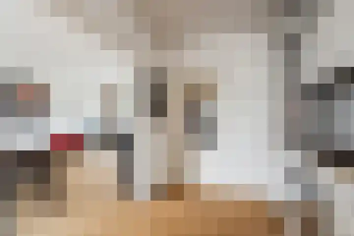 Keulse Slag 42 Arnhem thumbnail 16