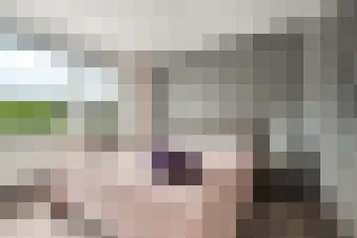 Keulse Slag 42 Arnhem thumbnail 23