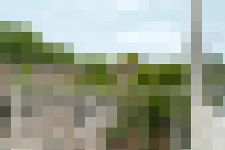 Keulse Slag 42 Arnhem thumbnail 24