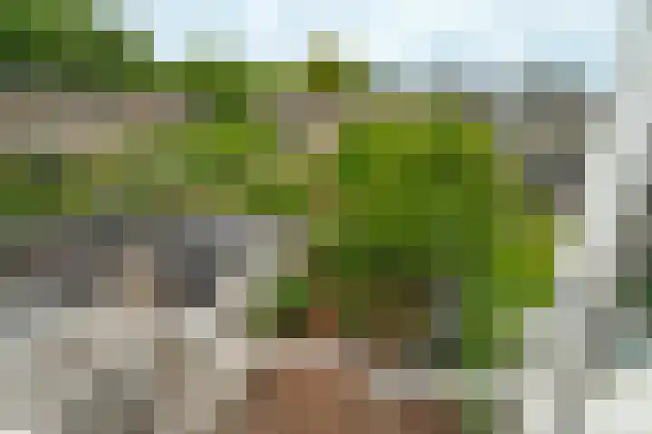 Keulse Slag 42 Arnhem thumbnail 25