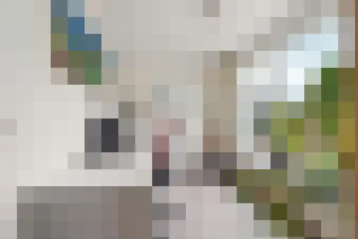 Keulse Slag 42 Arnhem thumbnail 27