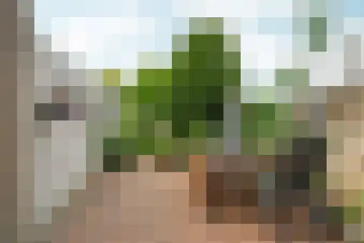 Keulse Slag 42 Arnhem thumbnail 31