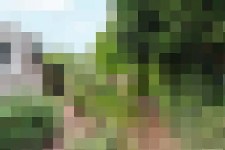 Keulse Slag 42 Arnhem thumbnail 32