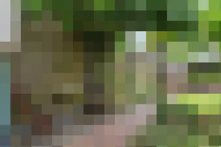 Keulse Slag 42 Arnhem thumbnail 33