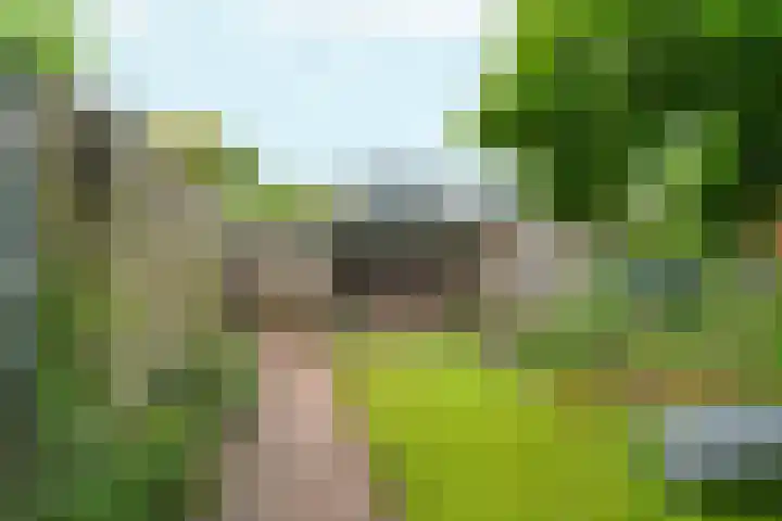 Keulse Slag 42 Arnhem thumbnail 34