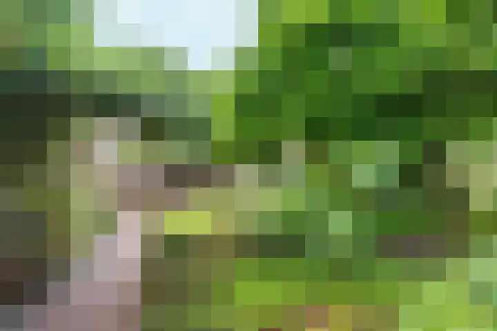 Keulse Slag 42 Arnhem thumbnail 5