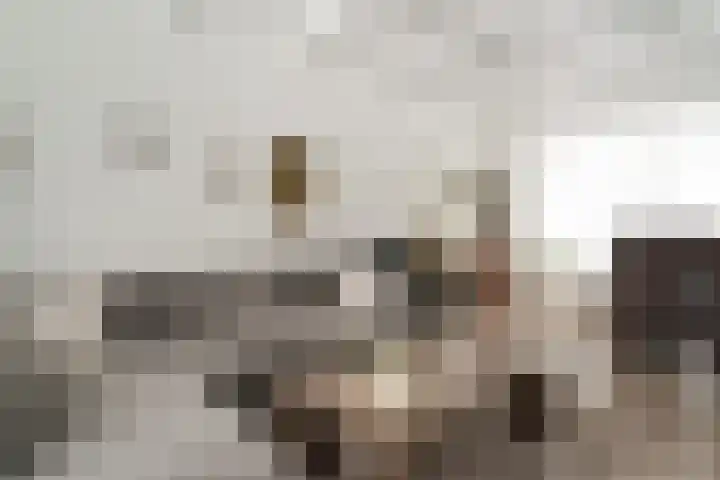 Keulse Slag 46 Arnhem thumbnail 20