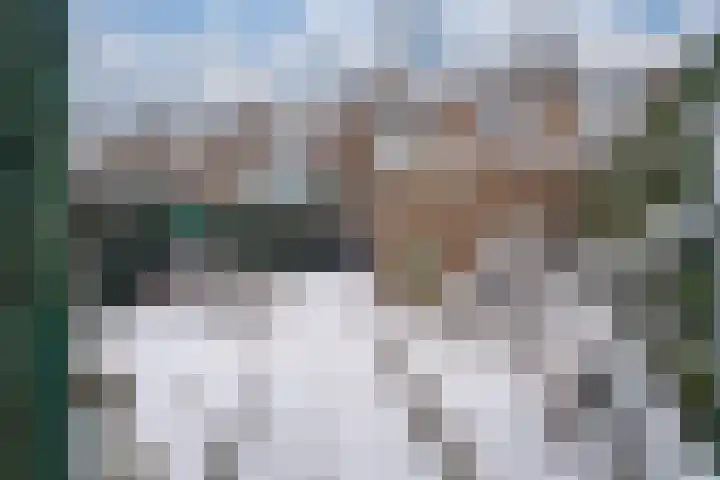 Keulse Slag 46 Arnhem thumbnail 35