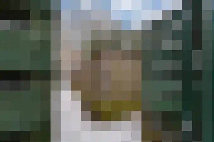 Keulse Slag 46 Arnhem thumbnail 36