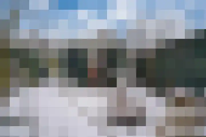 Keulse Slag 46 Arnhem thumbnail 5