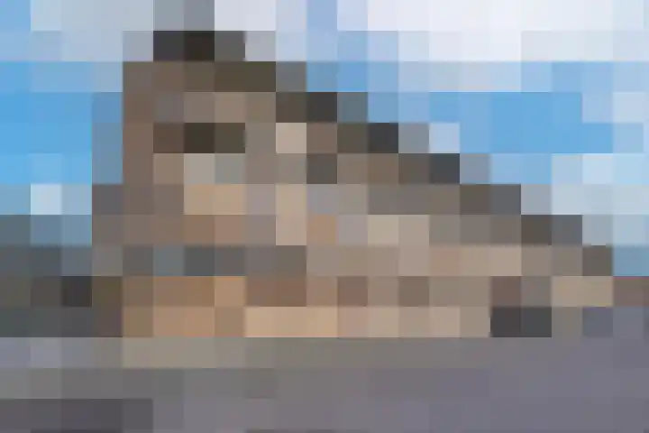 Keulse Slag 80 Arnhem thumbnail 11