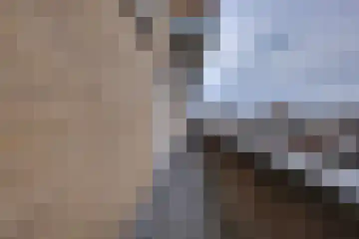 Keulse Slag 80 Arnhem thumbnail 16