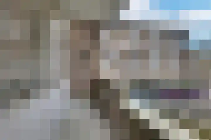 Keulse Slag 80 Arnhem thumbnail 22