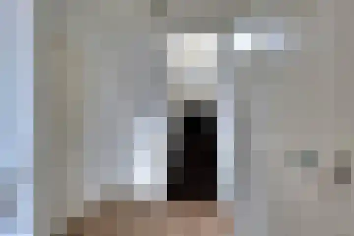 Keulse Slag 80 Arnhem thumbnail 24