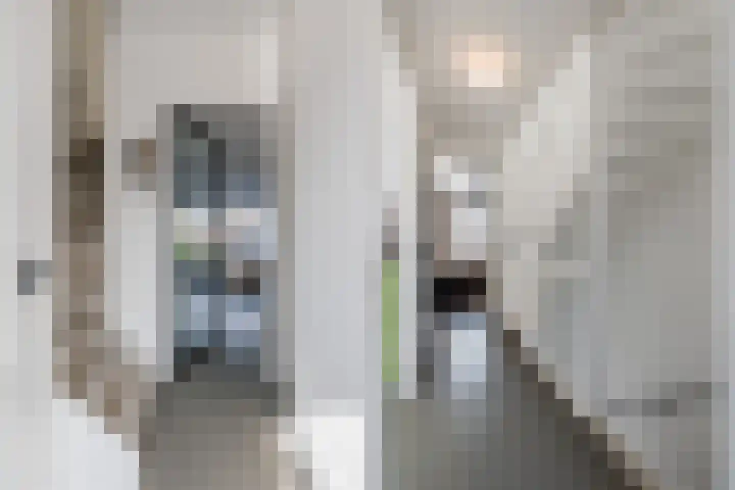 Keulse Vaart 104 Diemen thumbnail 22