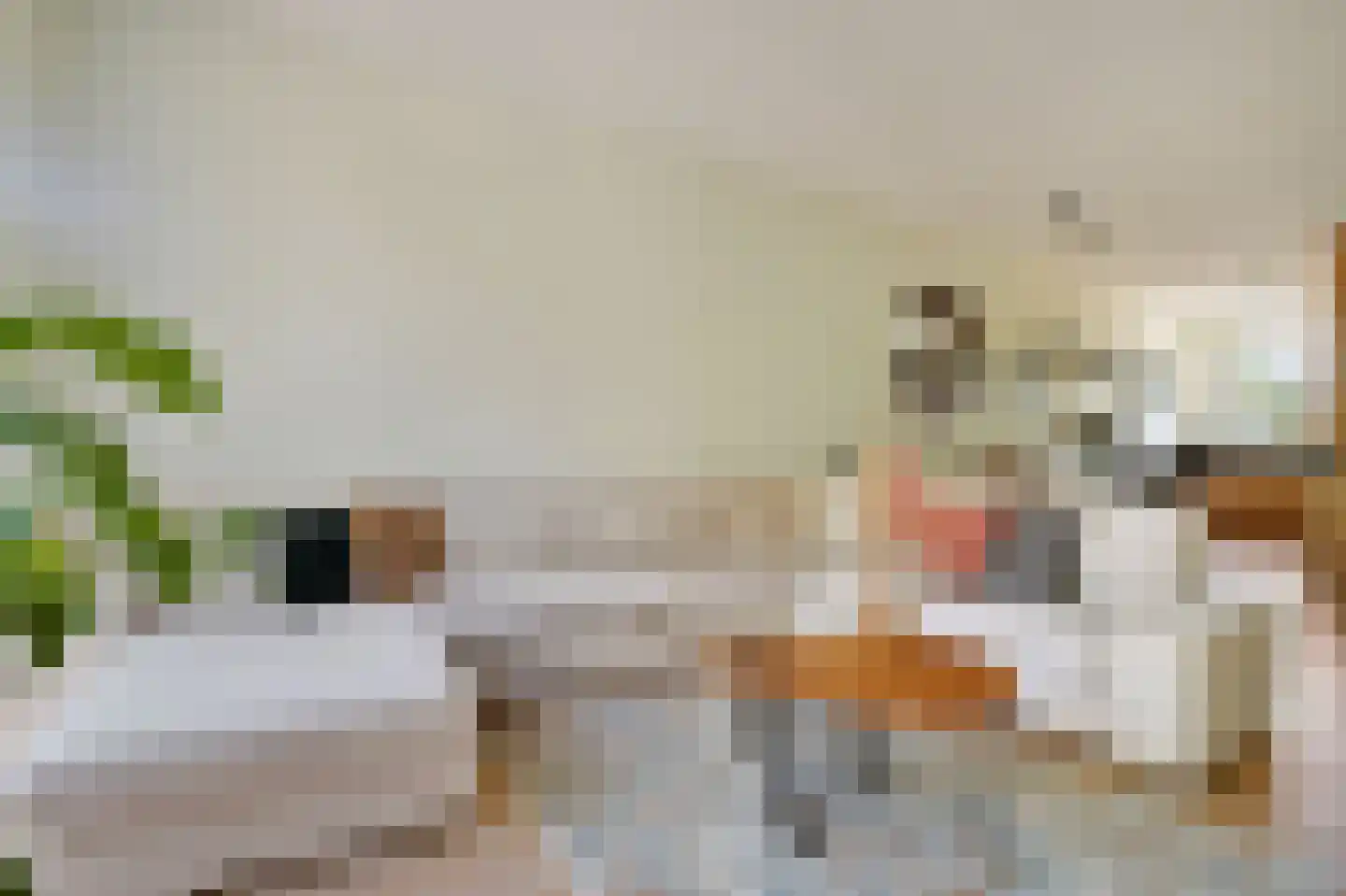 Keulse Vaart 89 Diemen thumbnail 12