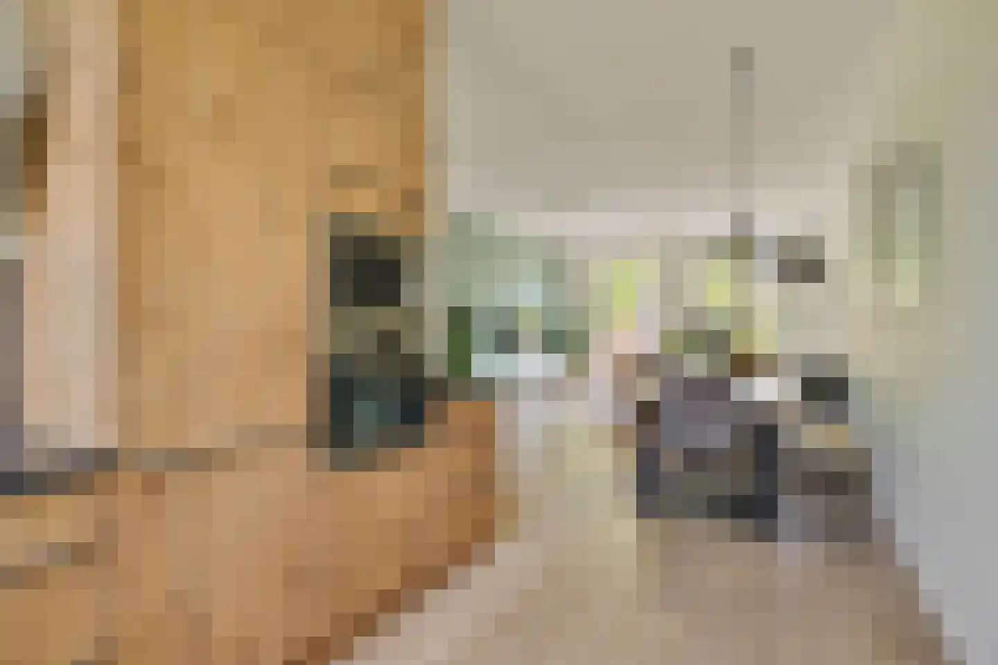 Keulse Vaart 89 Diemen thumbnail 8