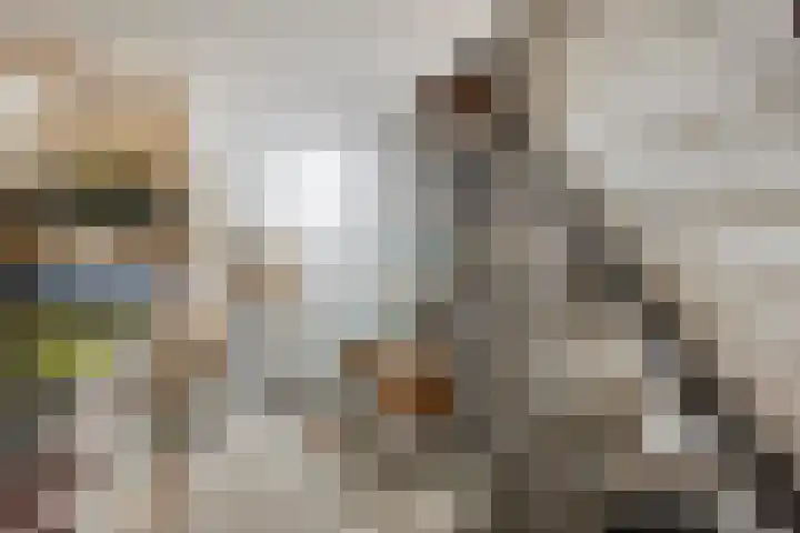 Keulsebaan 23 Roermond thumbnail 23