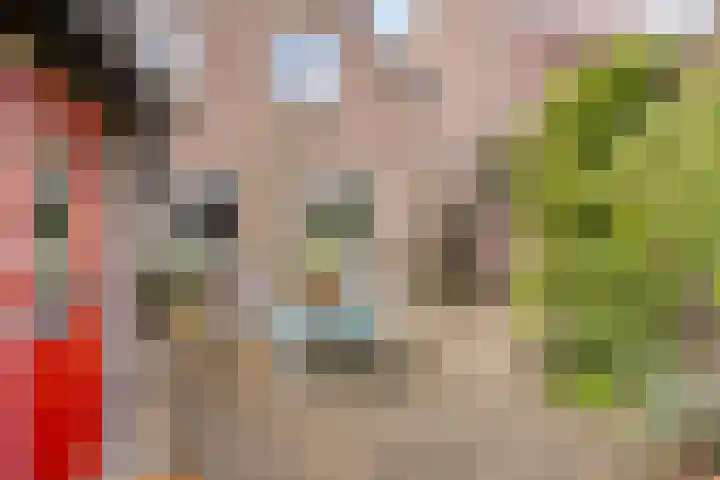 Keulsebaan 23 Roermond thumbnail 25