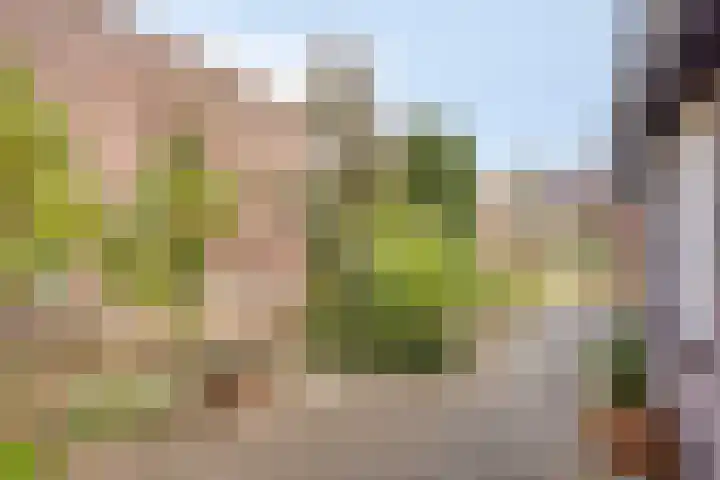 Keulsebaan 23 Roermond thumbnail 26